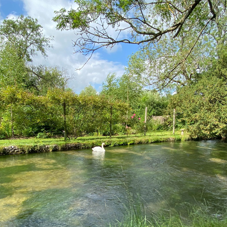 Blackwater river in Aldershot