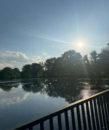 A pond in Arborfield