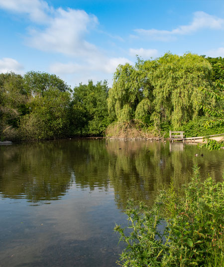 Blackdam Ponds in Basingstoke