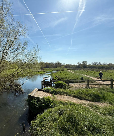 Shepard Meadow Nature Reserve