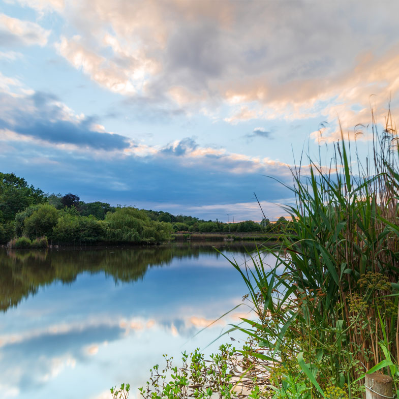 Mill Pond in Bracknell