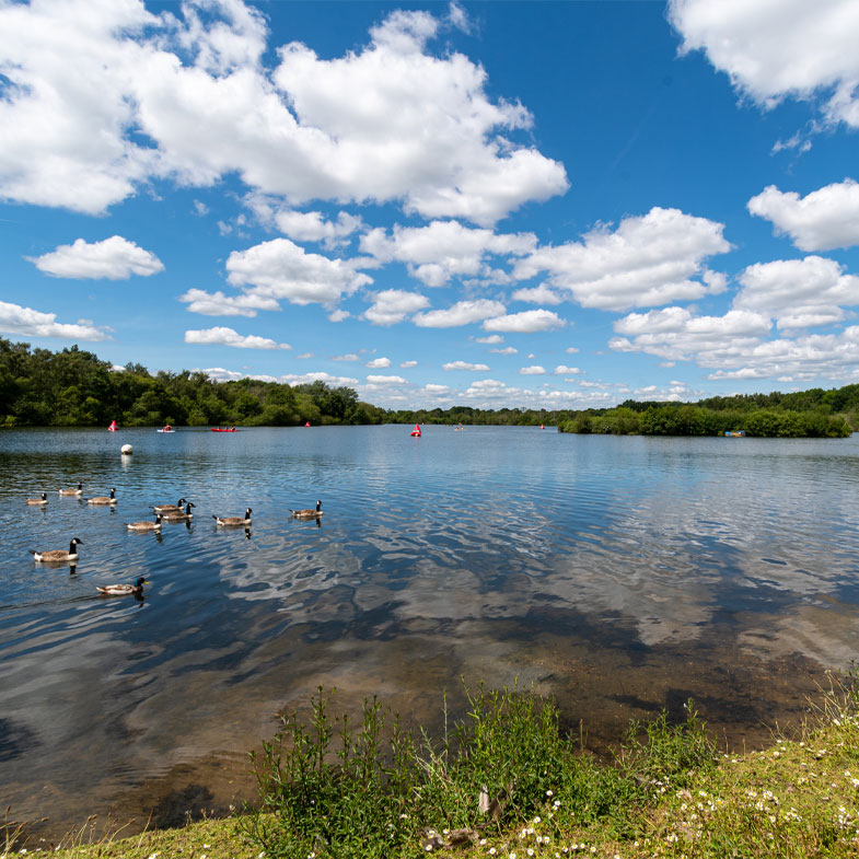 Horseshoe Lake in Sandhurst