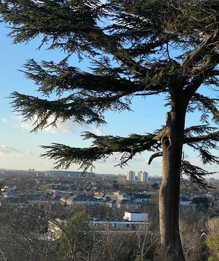 Prospect Estate Agency's Staines office