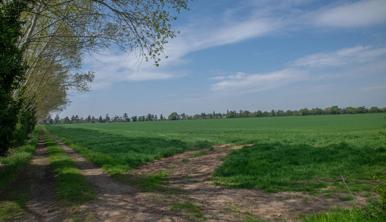 Yeldall Manor in Twyford