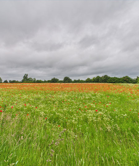 White Waltham Airfield