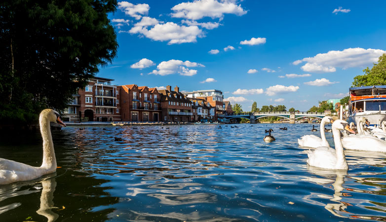 The River Thames in Windsor