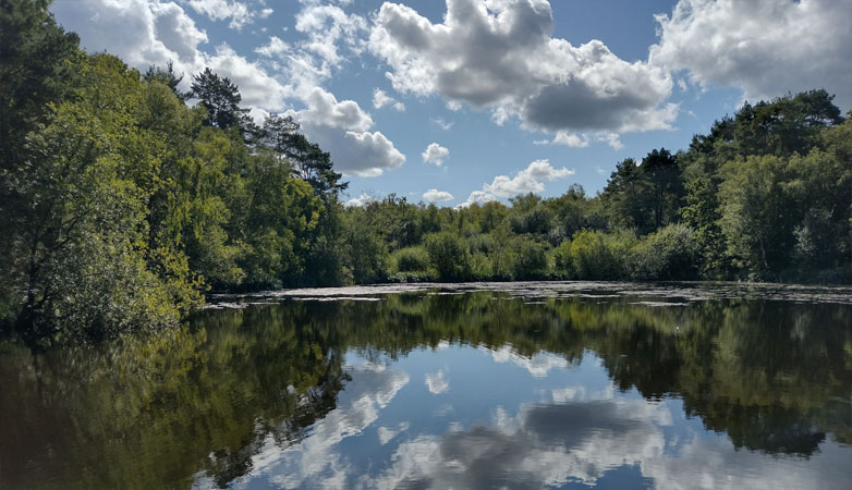 Trilakes Country Park
